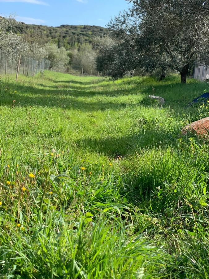 Il Giardino Degli Ulivi Hotel Ровин Екстериор снимка