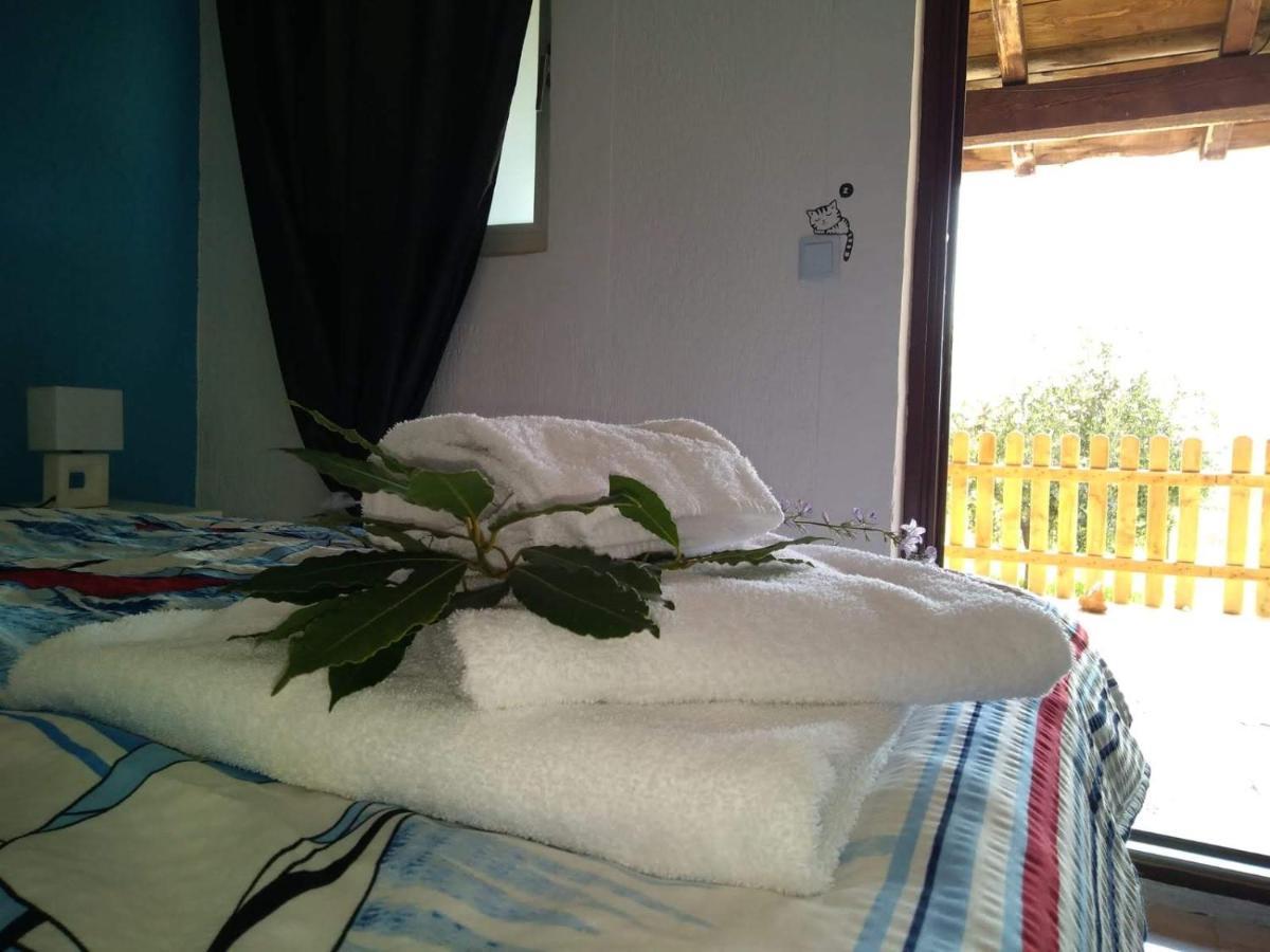 Il Giardino Degli Ulivi Hotel Ровин Екстериор снимка