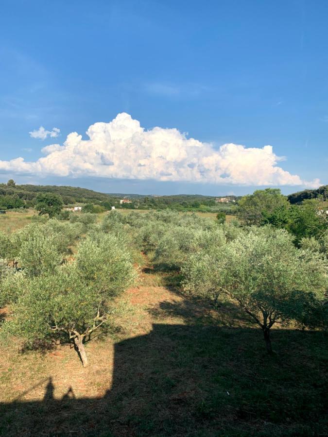 Il Giardino Degli Ulivi Hotel Ровин Екстериор снимка
